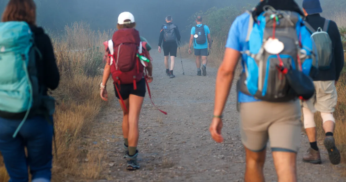 Grupo de peregrinos con mochila y la concha del Camino de Santiago caminando por un sendero de tierra entre la niebla