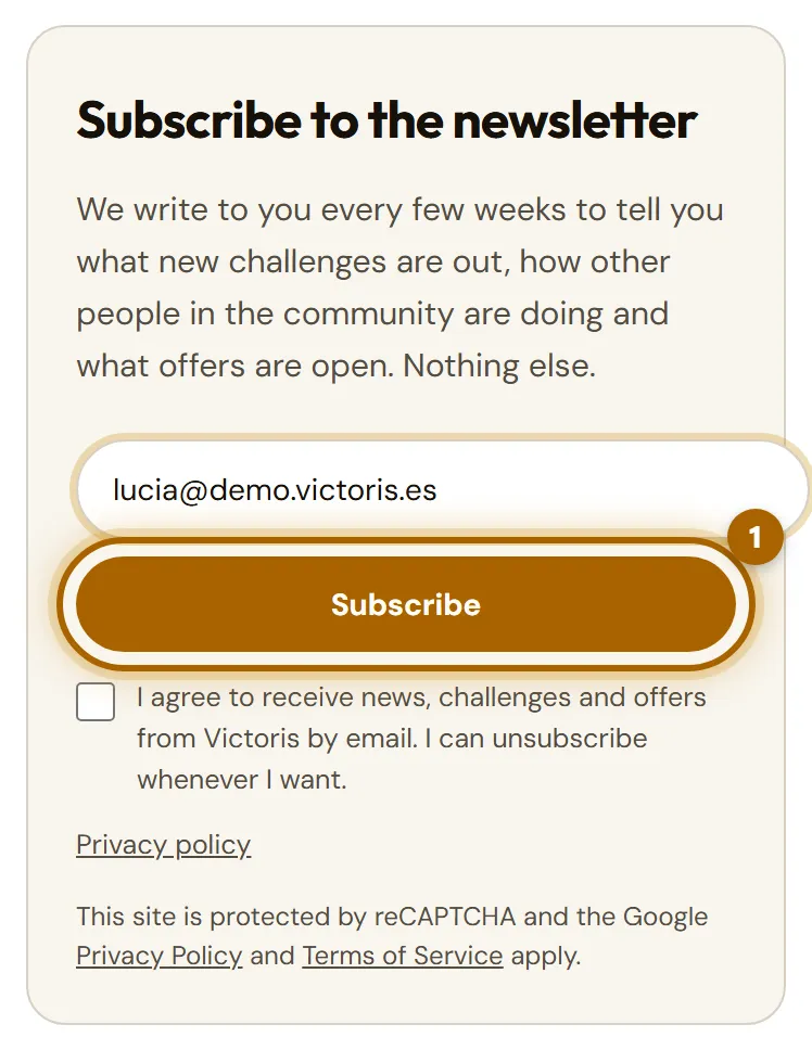 Newsletter form with the «Subscribe» button highlighted.
