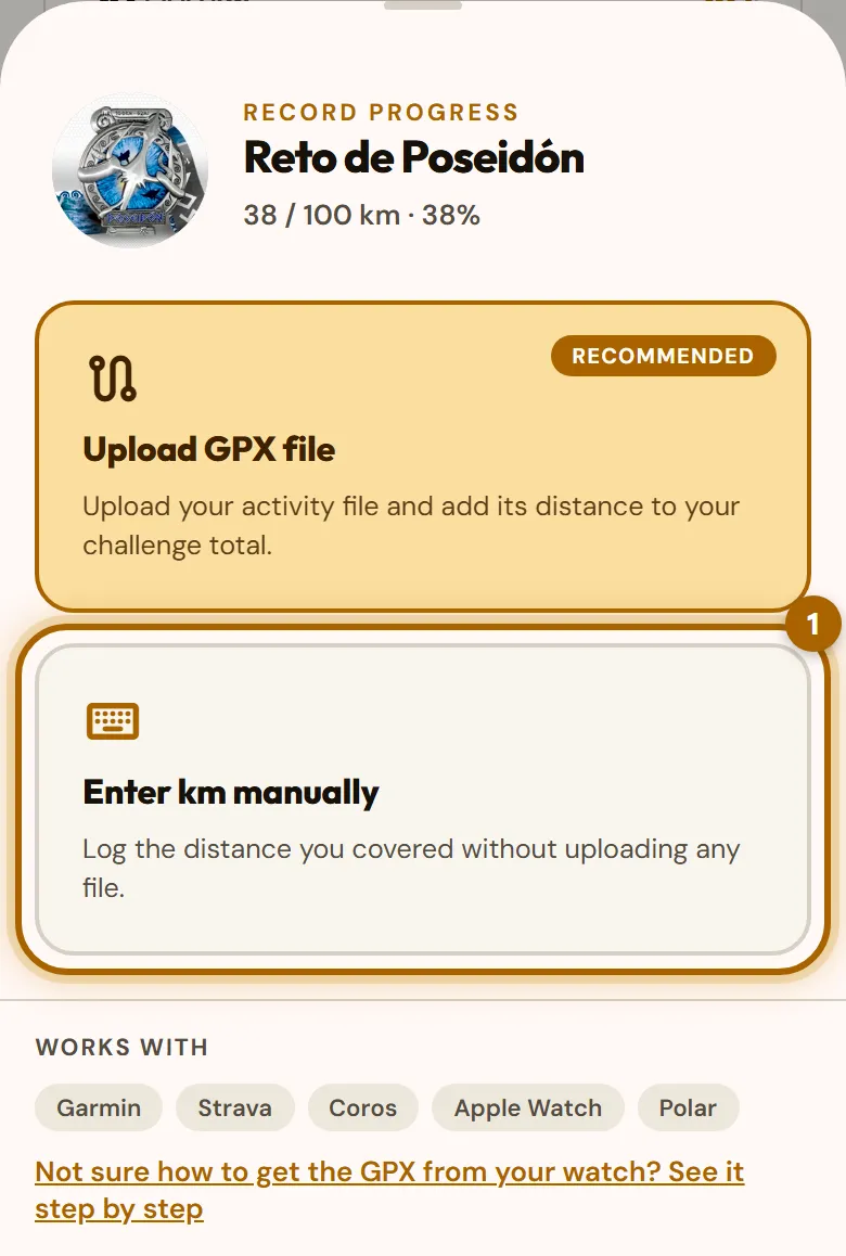 «Record progress» window with the «Enter km manually» option highlighted.